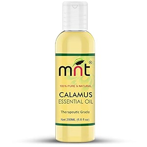 mnt calamus essential oil 200ml 100 pure natural therapeutic grade amp aromatherapy for skin care amp lungs