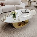Modern Coffee Table with Gold Stainless Steel Pedestal,Oval