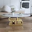 Modern Coffee Table with Luxrious Stainless Steel Pedestal,Oval