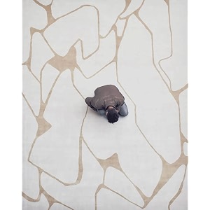 Modern Handmade Tufted Woolen Carpet for Living