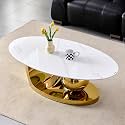 Modern Oval Glass Coffee Table, Luxury