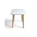 Modern Square Side Table with 4 Wooden