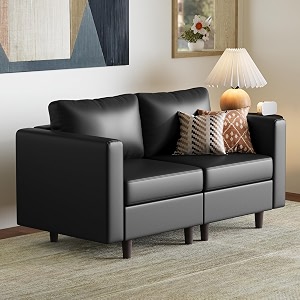 Modular Sectional Loveseat Sofa Couch with Storage