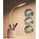 Plastic Led Desk Lamp, Rechargeable StudyLamp with Pen and Phone Holder, Touch TableLamp with USB Charging, 3 Color Modes with Eye Care, Flexible Gooseneck, ReadingLamp, White