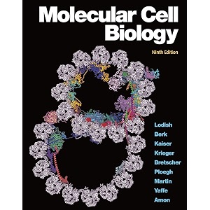 molecular cell biology 842581