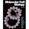 Molecular Cell Biology (842581)