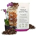 Molly's Orchid Potting Mix Chunky Soil-Free for Indoor Orchids 3 Dry Quarts