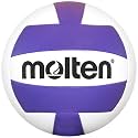Molten Camp Volleyball (Purple/White, Official)
