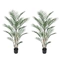 momoplant 2Pcs Artificial Palm Trees 5FT Faux Tropical Areca Floor Plant in Pot with Lifelike Leaves for Home Office Decor