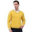 Monte Carlo Men's Smart Fit Pullover | V Neck Solid Design | Full Sleeves Pull On | Stylish Warm Winter Fashion Sweater | Winter Sweater for Men's