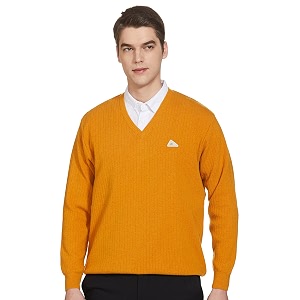 monte carlo men wool v neck cardigan sweater