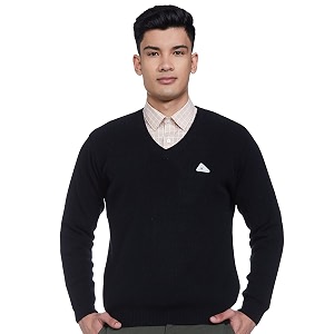 monte carlo men wool v neck cardigan sweater
