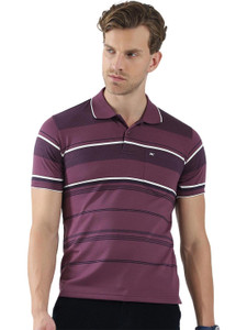 MONTE CARLO Striped Men Polo Neck Purple