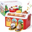 Pop up Toys for Age 1-3, Cause and Effect Toy for 12 Months and Up