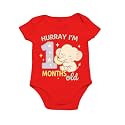 Monthly Birthday Romper for Newborn Baby 