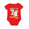 Monthly Birthday Romper for Newborn Baby 