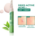 MOODY Acnexpert Overnight Spot correcting pen with