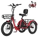 MOONCOOL Electric Tricycle for Adults, Fat Tire Folding Electric Trike