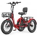 MOONCOOL Electric Tricycle for Adults, Fat Tire Folding Electric Trike