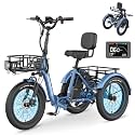 MOONCOOL Electric Trike for Adults, 500W/750W 20" Fat Tire Folding Tricycle