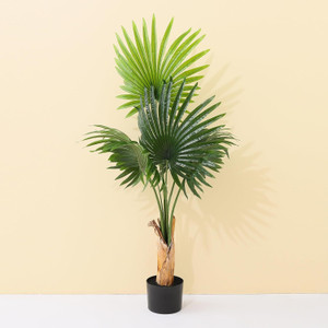 moonex tree bonsai wild artificial plant  with pot