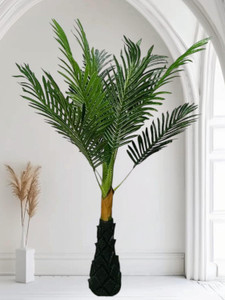 moonex tree bonsai wild artificial plant  with pot