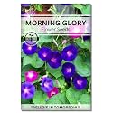 Morning Glory Flower Seeds for Home Gardening. Perfect for Terrace Gardening Winter and Summer Blooms in India - Includes Free E-Book for Kitchen, Backyard, Gardening &amp; Planting. High Germination
