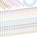 MorningRo 100 Pcs Metal Double Loop Binding Wires 1/2 Bulk Cinch Binding Wires Double Spiral Ring Coil 10 Colors Twin Spines Combs 21 Holes 2: 1 Pitch Cinch Coil Machine Wire