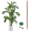 Moss Pole 63 Inch Monstera Plant Sticks Support Tall Long Stakes for Plants