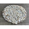 Mother of Pearl Chips – Natural Mini Mother of Pearl Stones, Crushed Undrilled Mother of Pearl, Semi-Tumbled Genuine Mother of Pearl (1/8 lb)