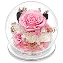 Mothers Day Birthday Gifts for Her Women Preserved Rose Forever Flower in Glass Dome Fresh Flowers Prime Valentines Day Anniversary Rose for Girlfriend Wife Sister Grandma (Pink)
