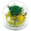 Mothers Day Birthday Gifts for Her Women Preserved Rose Forever Flower in Glass Dome Fresh Flowers Prime Valentines Day Anniversary Rose for Girlfriend Wife Sister Grandma (Green)
