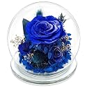 Mothers Day Birthday Gifts for Her Women Preserved Rose Forever Flower in Glass Dome Fresh Flowers Prime Valentines Day Anniversary Rose for Girlfriend Wife Sister Grandma (Blue)