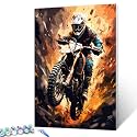 Motorbike Racing Painting Graffiti Motor Bike/Car Paint by Number Kits 16 x 20 inch Canvas DIY Motorcyclist Offroad Oil Painting for Kids Adults Beginner with Brushes and Acrylic Art(Frameless)