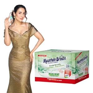 mountain breeze sugar-free paanmint fresh breath strips 18 strips each pack of 24