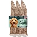 Mountain Valley Elk Antlers for Dogs Chew Whole Dog Antler,3Pack, M