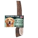 Mountain Valley Elk Antlers for Dogs Chew Whole Dog Antler, Large