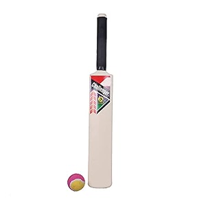 mph enterprise cricket kit for kids  plastic 20-20 cricket kit for kids cricket set of 3-6 year boys bat amp ball set playing outdoor and indoor sports game toy 20-20 cricket kit white
