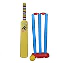 MPH ENTERPRISE Cricket kit for kids | Plastic 20-20 Cricket kit for Kids Cricket Set of 3-6 Year Boys Bat &amp; Ball Set Playing Outdoor and Indoor Sports Game Toy (20-20 Cricket kit) (yellow)