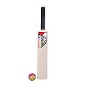 MPH ENTERPRISE Cricket kit for kids | Plastic 20-20 Cricket kit for Kids Cricket Set of 3-6 Year Boys Bat &amp; Ball Set Playing Outdoor and Indoor Sports Game Toy (20-20 Cricket kit) (white)
