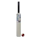 MPH ENTERPRISE Cricket kit for kids | Plastic 20-20 Cricket kit for Kids Cricket Set of 3-6 Year Boys Bat &amp; Ball Set Playing Outdoor and Indoor Sports Game Toy (20-20 Cricket kit) (cream)