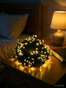 MPROW 40 LEDs 11 m Gold Steady Bulb Rice Lights