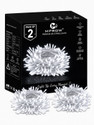 MPROW 40 LEDs 11 m White Steady Bulb Rice Lights