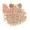 Mr. Pen- Mini Wooden Clothes Pins for Photo, 1 Inch, 300 Pack, Small Clothespins with 10 Meter Jute Twine for Scrapbooking, Labeling Plants, Gift Tags, Tiny Crafts, Photo Display, Decoration