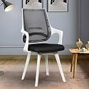 MRC Executive Mono Mesh Mid-Back Ergonomic Office Chair| Visitor Chair| Study Chair |Computer Chair | Work from Home (Mono Fixed, Black & White)