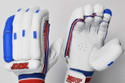MRF Genius Grand Cricket Batting Gloves Batting