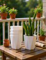 Mrida and Maati 10 Inch pot WHITE5