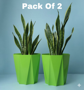 mrida and maati plant container set