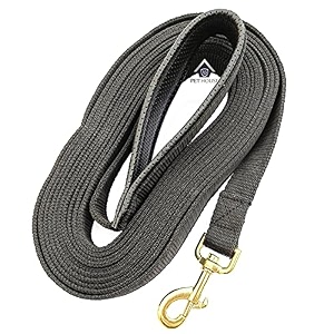 padded dog training lead dog leash long leash long leash for dogs 134 wide 5 ft black - 1524 cm