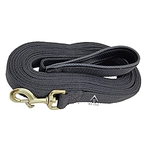 padded dog training lead - 30 ft dog leash 134 wide by 30 feet long black colour